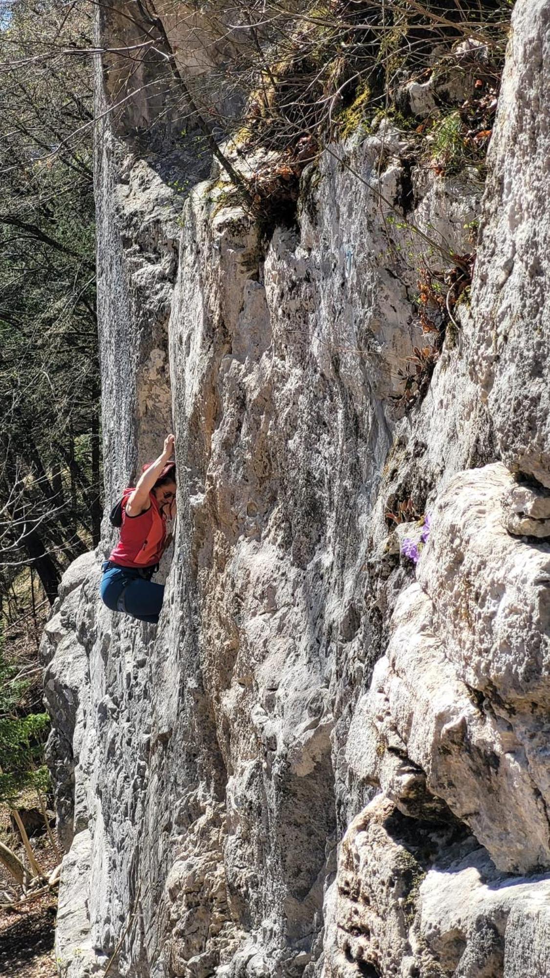 瓦莱迪卡多雷Agriturismo Borgo Damos别墅 外观 照片